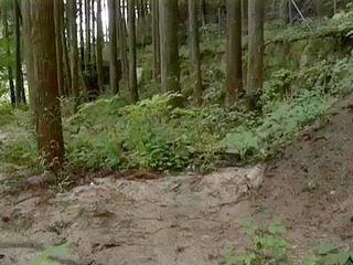 Fucking in the Tokyo Forest With a Horny Nippon Maniac.